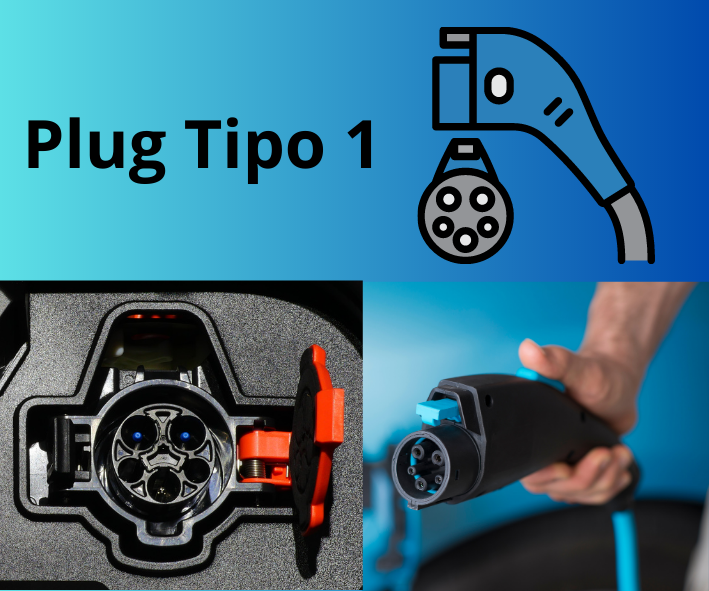 Plug tipo 1 (1)